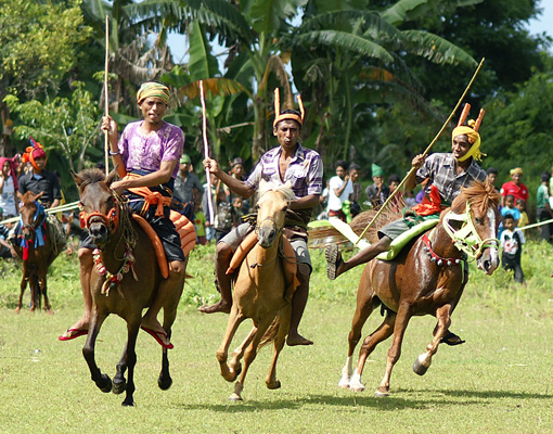 Villa Sinta Great Deal